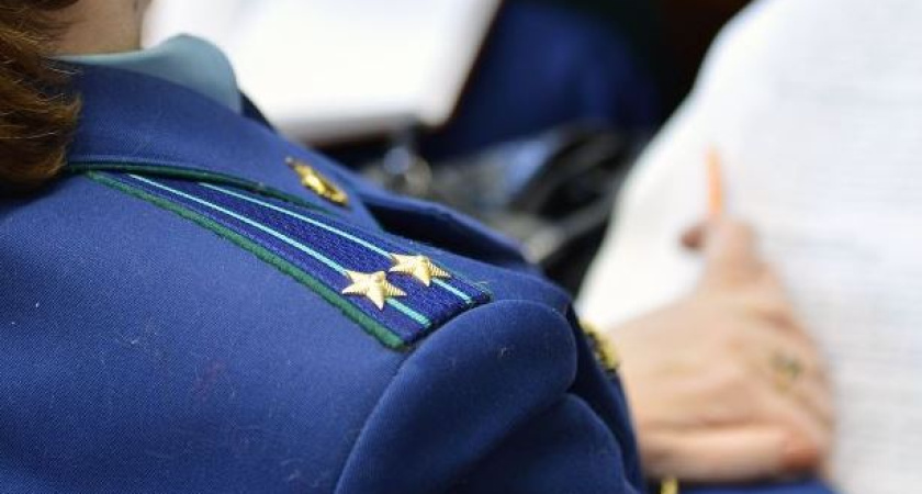 Налоговые преступления в Воронежской области привели к ущербу в 156 млн рублей