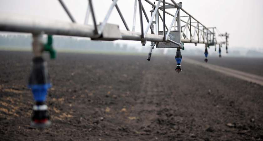 Воронежская почва пользуется спросом и предложением