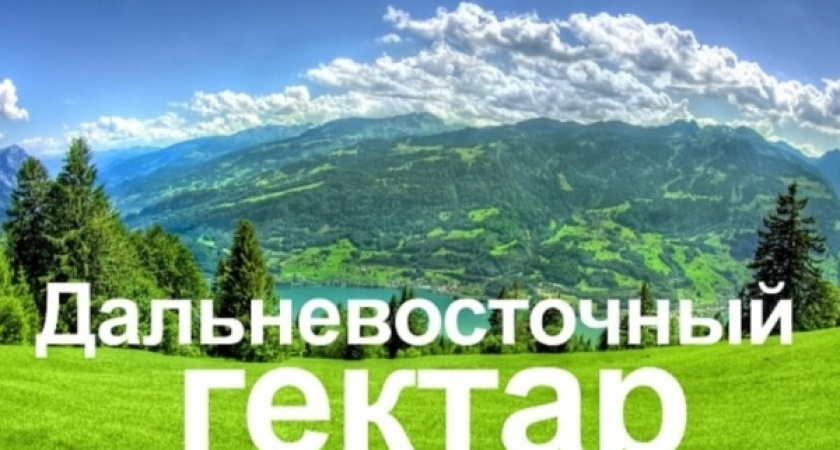 Воронежцам нужны дальневосточные участки у океана 