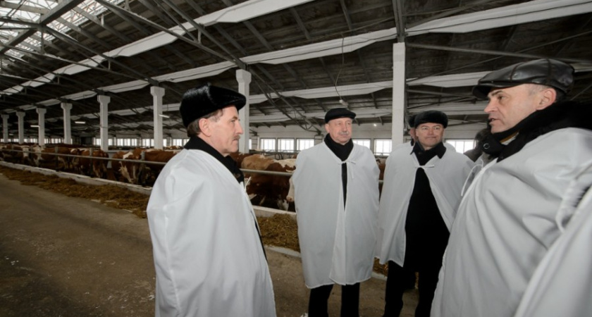 Воронежский губернатор избежал участи многих коллег