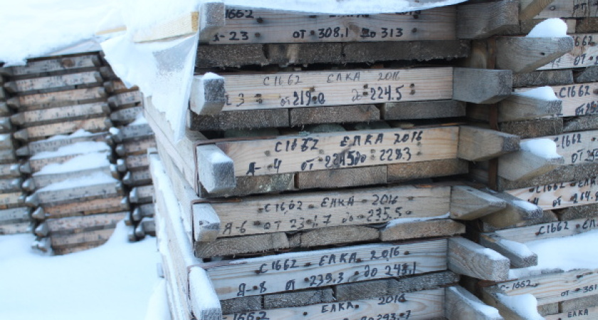 Исторический срез воронежских недр 