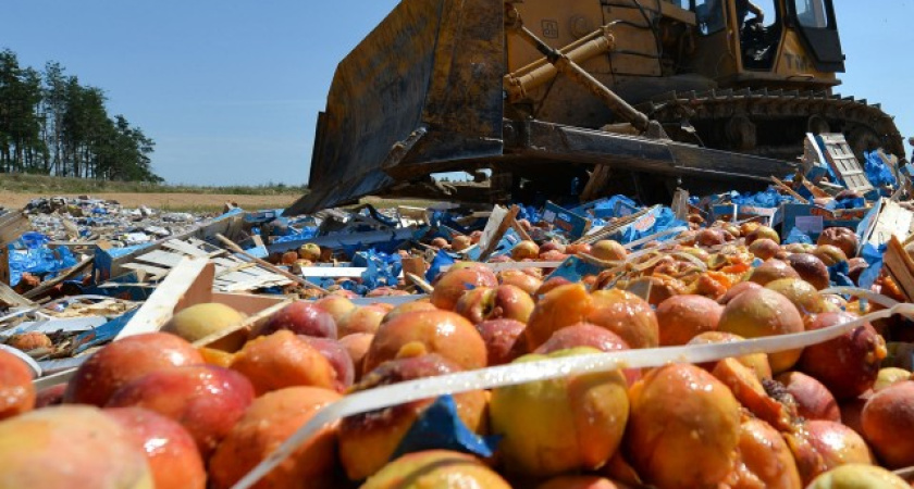 В Воронеже потребляют больше всего молочного фальсификата 