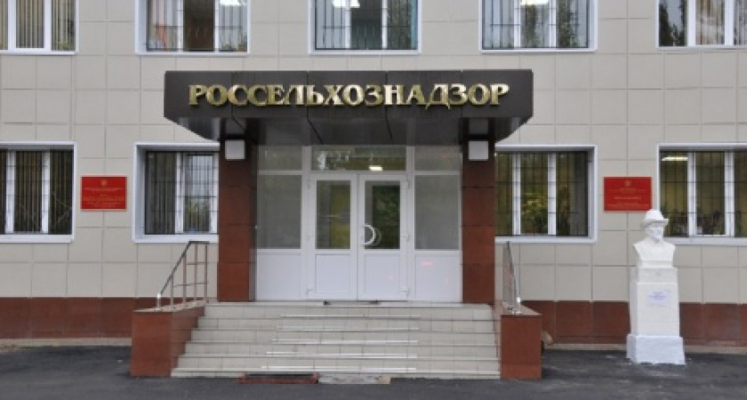 Дмитрий Изюмов: «Воронежская область слишком близка к очагам  опаснейших инфекций животных»  