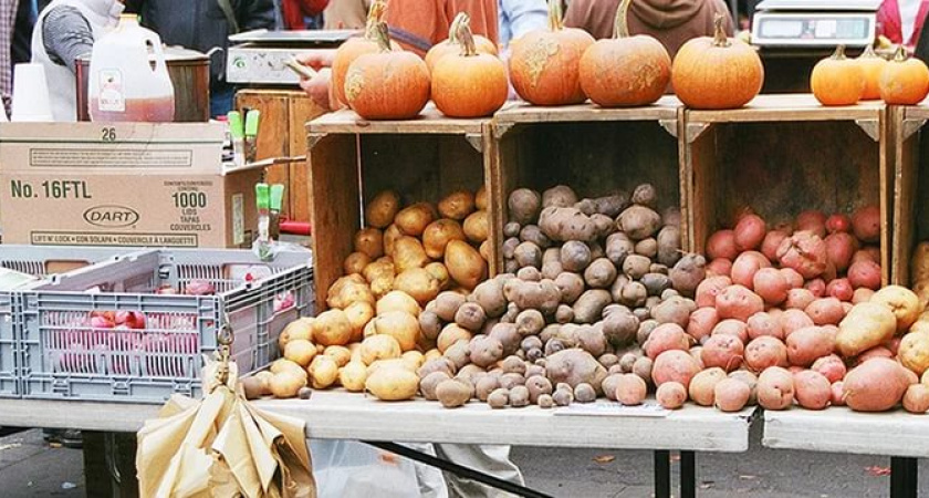 Воронежские ярмарки впервые пополнили казну
