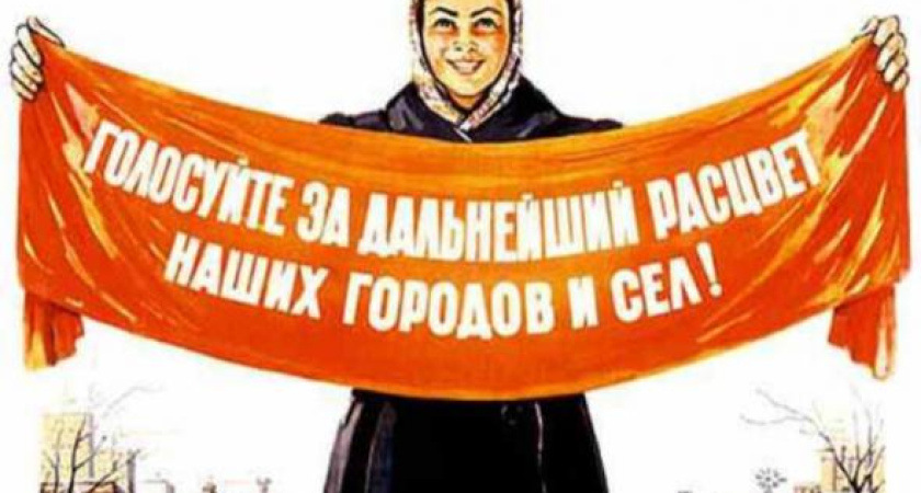 Под Воронежем образовалась очередь в депутаты сельсовета