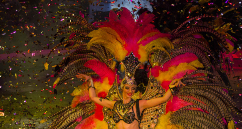 Воронежцы увидели медведицу-наездницу и летающую пантеру 