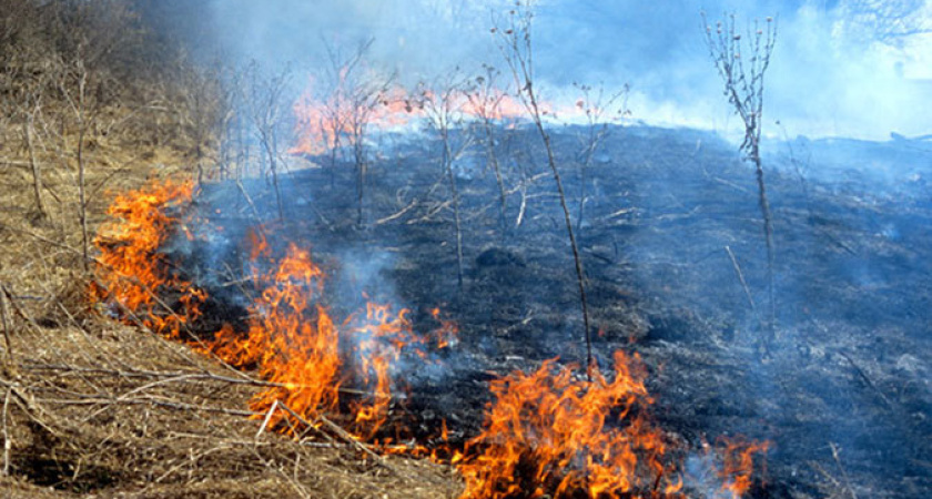 Воронежские  стихии: и огонь, и полымя