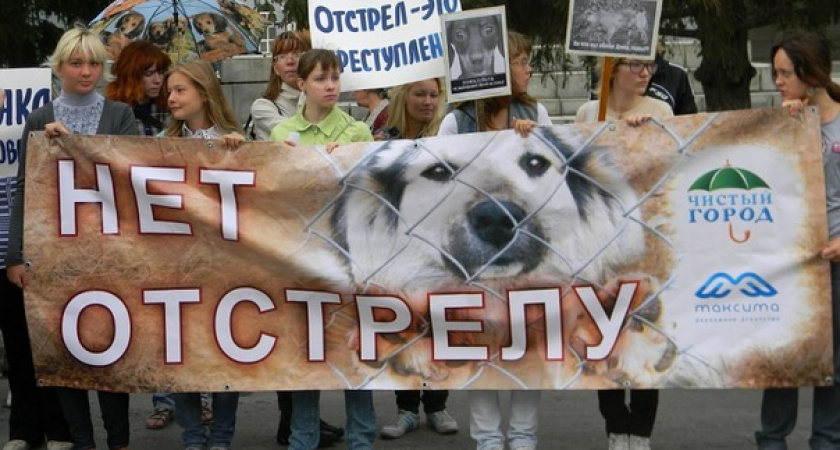 Воронежские власти обвинили в «государственном убийстве»