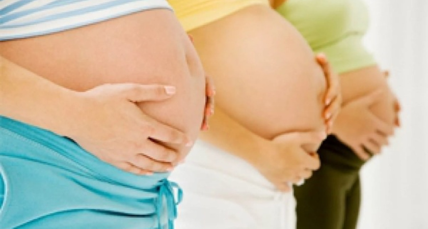 Воронежцам предлагают бесплатное ЭКО