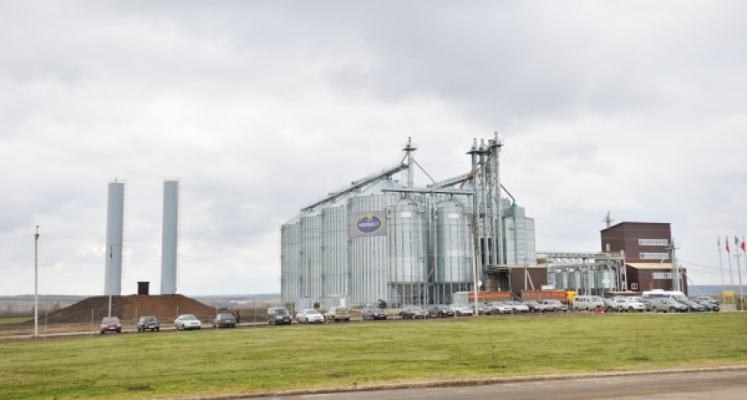 Воронежский «Молвест» улучшит «молочный баланс» региона