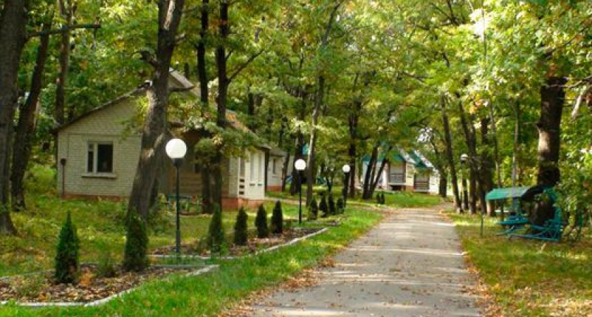 Воронежские власти выставили на продажу базу отдыха в заповеднике