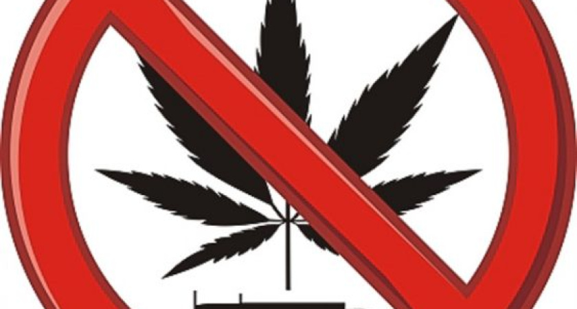 Воронежцы не нуждаются в лёгких наркотиках 