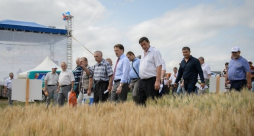 Четверть всех воронежских инвестиций пришлась на аграрный сектор