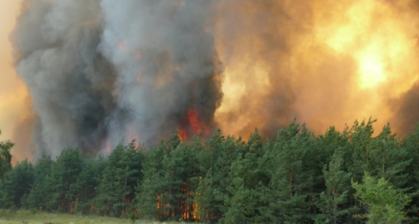 Тридцать тысяч воронежцев живут в зоне повышенной опасности