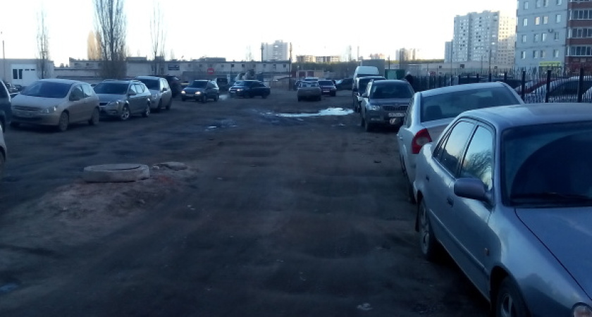 Воронежскую землю использовали беззаконно и бесконтрольно