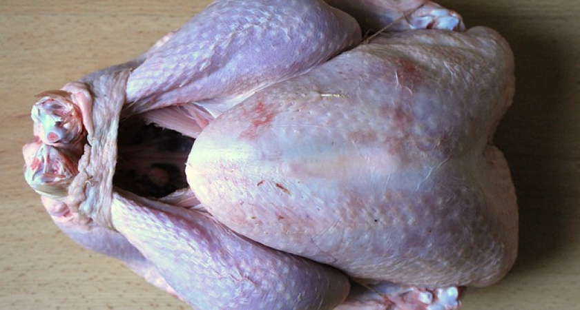В Воронеже нашли вирус птичьего гриппа в мясе индеек