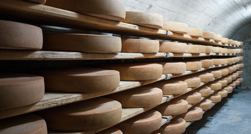 Воронежский предприниматель построит сырзавод под Новосибирском 