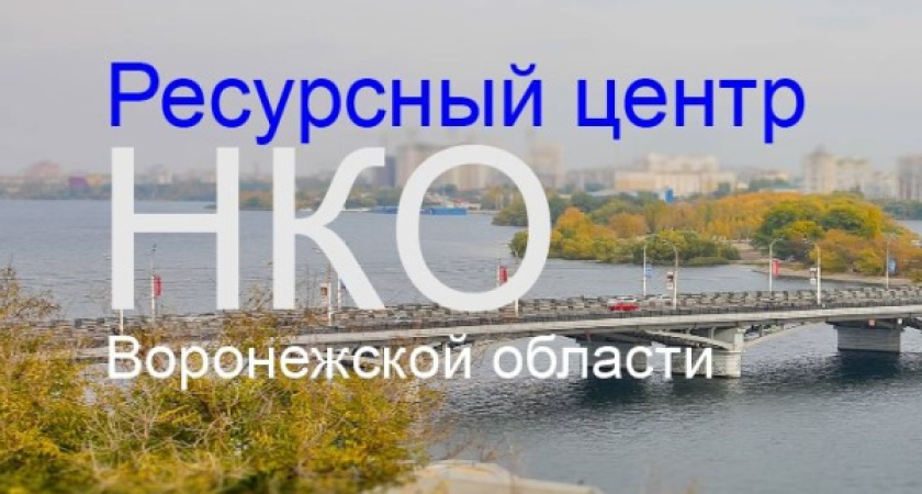 Президентский Совет нашёл слабые места воронежских НКО 