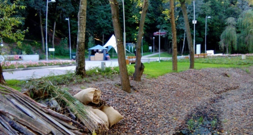 Воронежские власти сэкономят 1,5 млн рублей на стоянках у Центрального парка