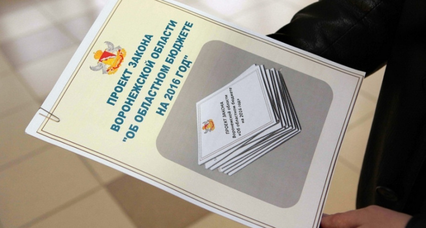 Четверть воронежского бюджета сформирована за счет федеральных средств