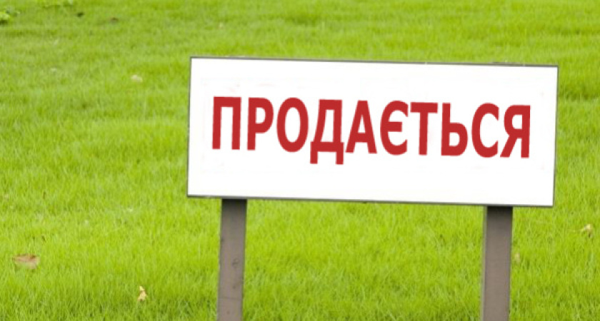 Воронежский ДИЗО не отдал «Выбору» сельскохозяйственную землю