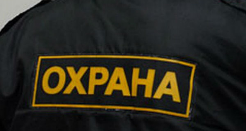 Росгвардия намерена сделать рынок охранных услуг в Воронеже цивилизованным 