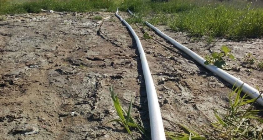 Руководству воронежского «ЭкоЛайнера» грозит уголовное дело за неисполнение решения суда