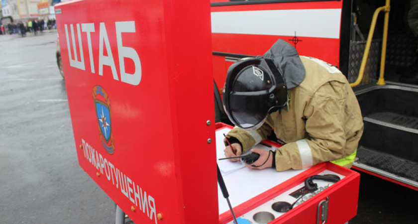 В Воронежской области раскрыли сговор на торгах ценой в 17 млн рублей