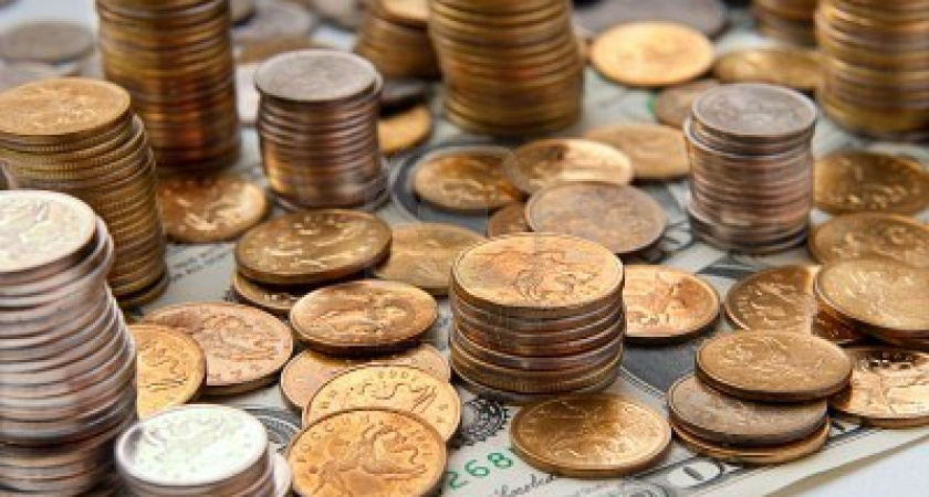 В Воронеже снизился объем бюджетных инвестиций в основной капитал