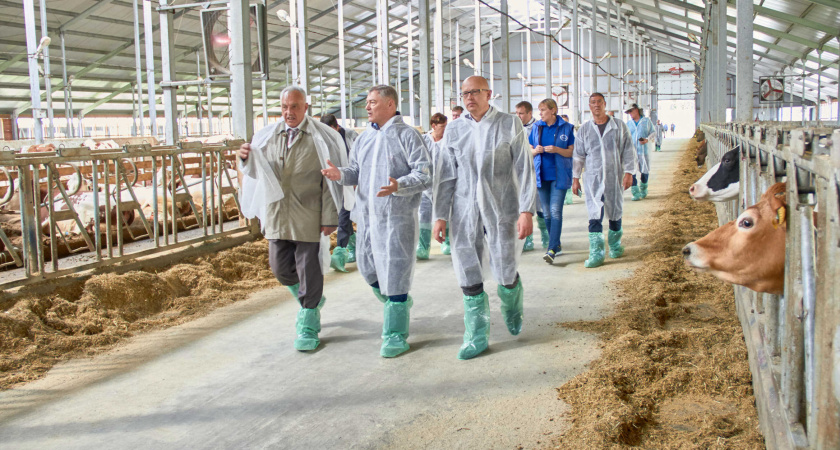 Израильские молочные реки вошли в воронежские берега