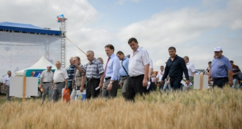 Воронежскому губернатору предложили слить сельские районы