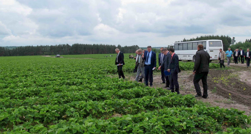 Федеральный бюджет выделил воронежским аграриям более 5 млрд рублей