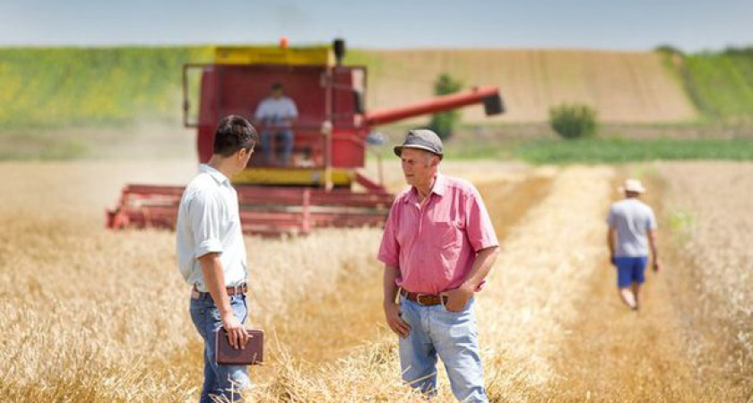 Воронежские бизнесмены и муниципалитеты разошлись на земле