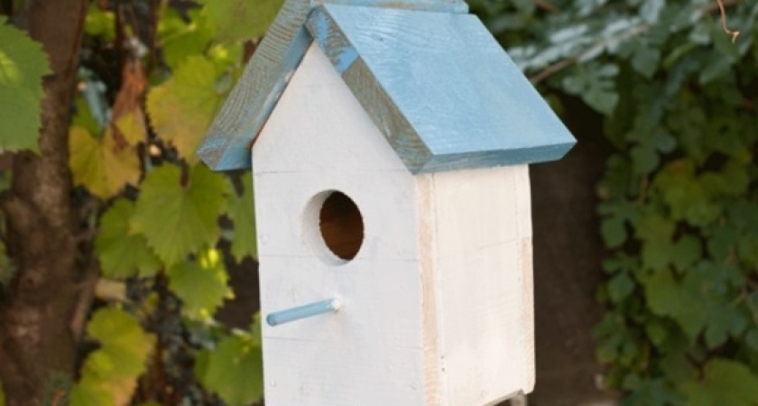 Покупка жилья для воронежцев остается практически невозможной