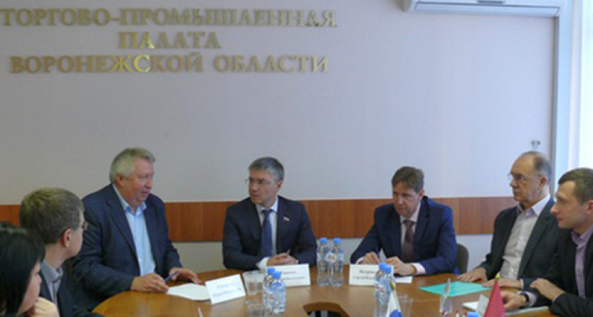 Воронежский депутат предложил отменить проверки предпринимателей