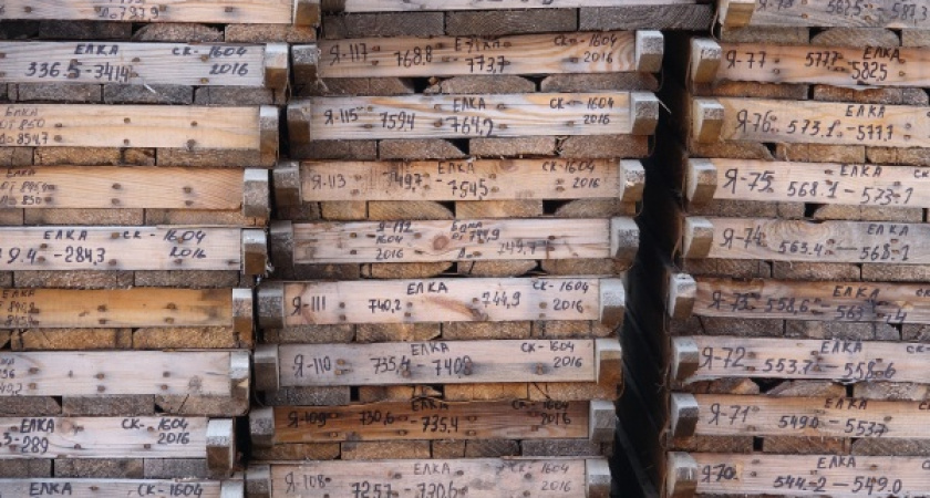 Как Новохопёрский район стал самым богатым муниципалитетом региона