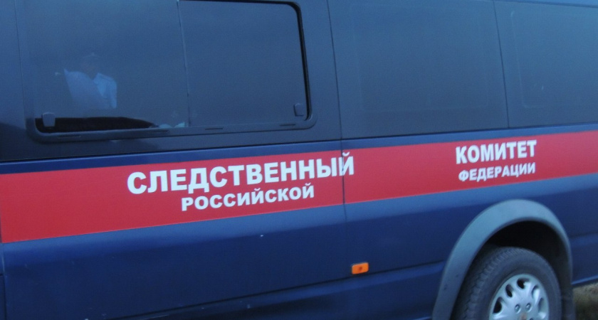 Глава СКР подключил лучших следователей к делу погибшего под Воронежем ребенка