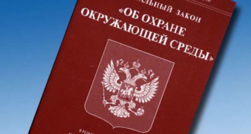 За полгода в Воронеже 2000 раз нарушили природоохранные законы