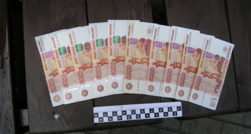 Воронежские адвокаты утерли нос полицейскому следствию