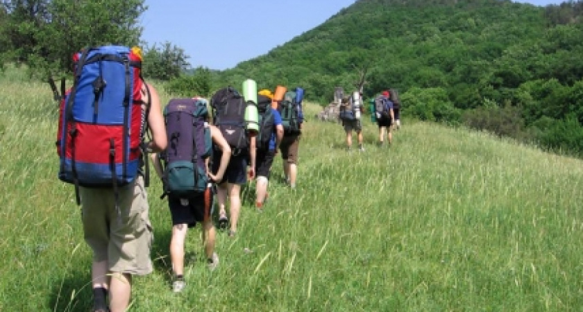 Туристы оставили в бюджете Воронежской области почти 100 млн рублей