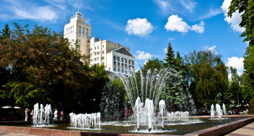 Воронежские десантники и моряки не попадут в струю