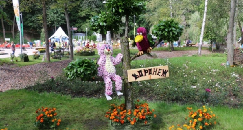 Воронежские власти вложат более 20 млн рублей в «Город-сад»