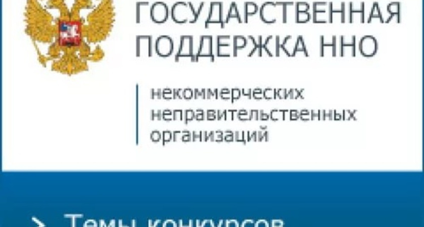 Воронежские НКО выиграли президентские гранты 