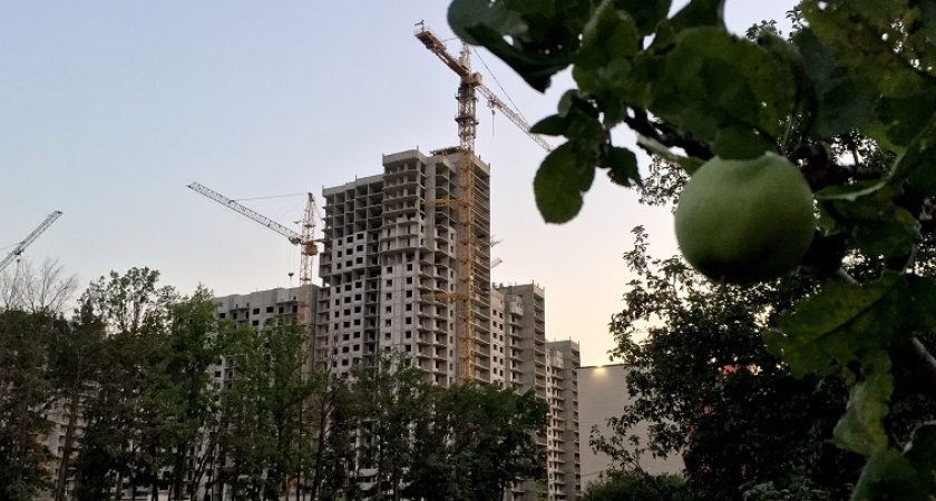 Воронежский яблоневый сад хотят вернуть Российской Федерации