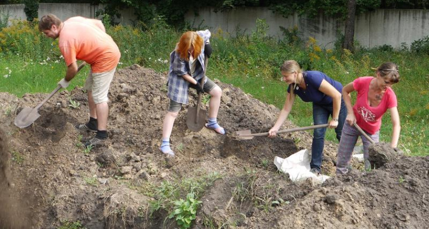 Москвичи выполнят проект реконструкции Ботанического сада в Воронеже