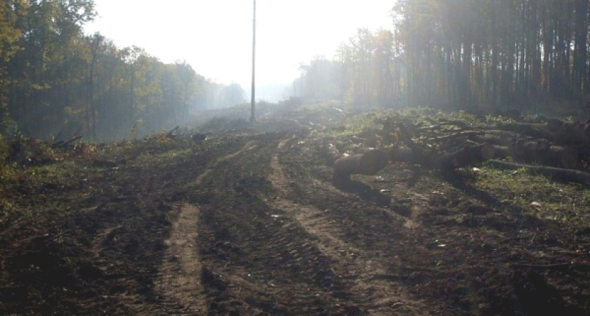 Воронежские общественники предложили свой вариант дублера Московского проспекта