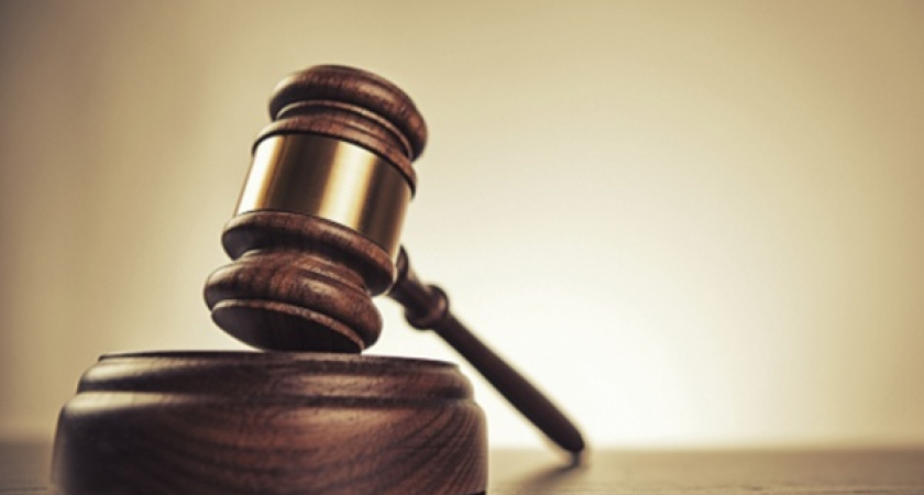 Дочь воронежского префекта могли выпустить за миллион рублей