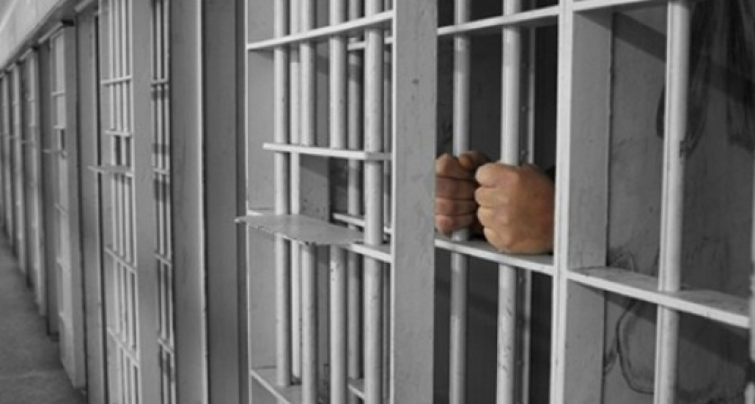 Воронежские следователи предъявили обвинение Любови Овчинниковой 