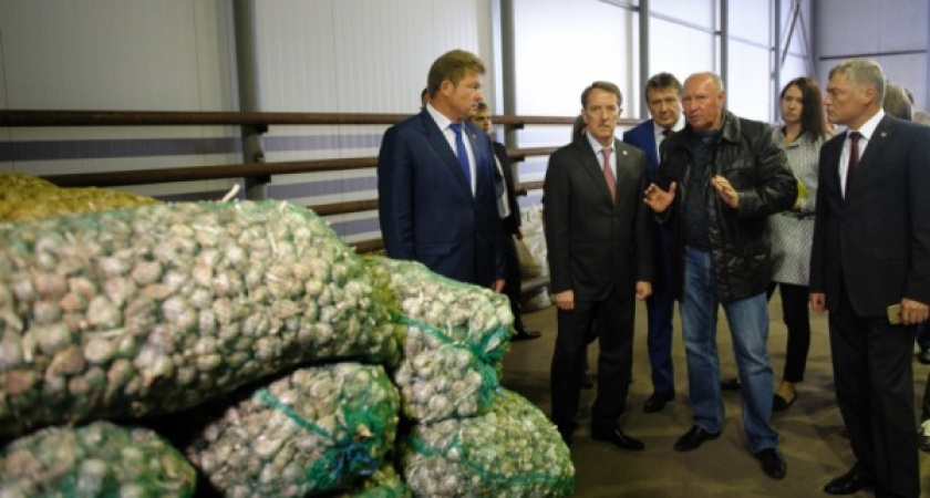 Воронежскому губернатору уже недостаточно рекордных урожаев