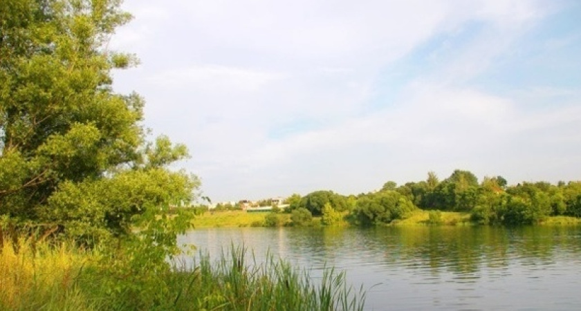 Жители дома в Семилуках пожаловались на шумные вечеринки с участием коммунистов